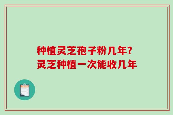 种植灵芝孢子粉几年？灵芝种植一次能收几年-第1张图片-破壁灵芝孢子粉研究指南