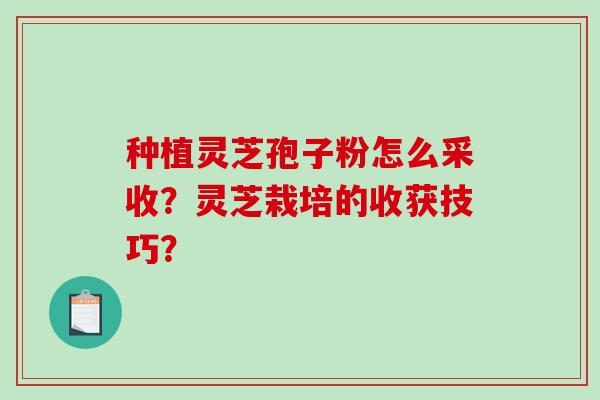 种植灵芝孢子粉怎么采收?灵芝栽培的收获技巧?-第1张图片-破壁灵芝孢子粉研究指南 种植灵芝孢子粉怎么采收?灵芝栽培的收获技巧?-第1张图片-破壁灵芝孢子粉研究指南