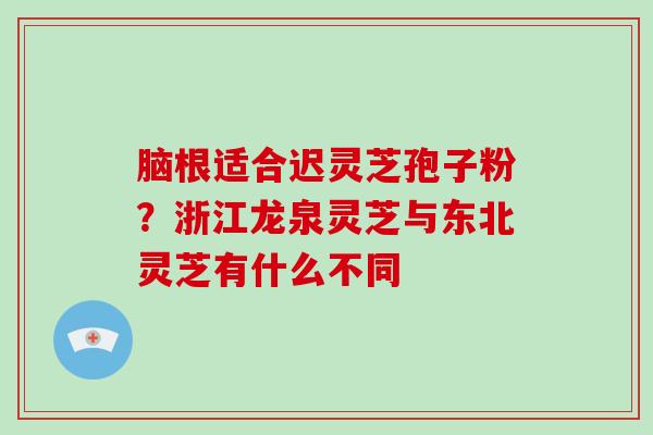脑根适合迟灵芝孢子粉?浙江龙泉灵芝与东北灵芝有什么不同-第1张图片-破壁灵芝孢子粉研究指南 脑根适合迟灵芝孢子粉?浙江龙泉灵芝与东北灵芝有什么不同-第1张图片-破壁灵芝孢子粉研究指南