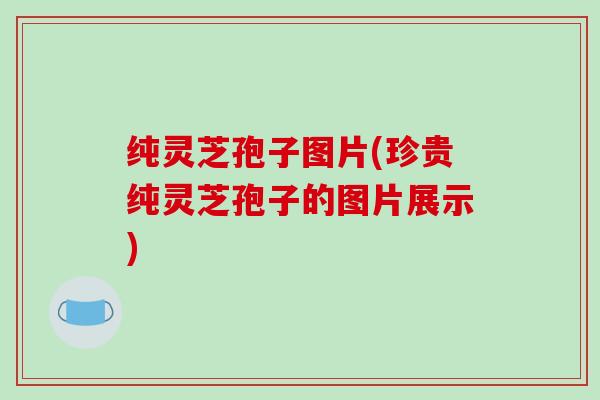 纯灵芝孢子图片(珍贵纯灵芝孢子的图片展示)-第1张图片-破壁灵芝孢子粉研究指南 纯灵芝孢子图片(珍贵纯灵芝孢子的图片展示)-第1张图片-破壁灵芝孢子粉研究指南