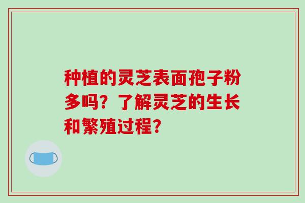 种植的灵芝表面孢子粉多吗?了解灵芝的生长和繁殖过程?-第1张图片-破壁灵芝孢子粉研究指南 种植的灵芝表面孢子粉多吗?了解灵芝的生长和繁殖过程?-第1张图片-破壁灵芝孢子粉研究指南