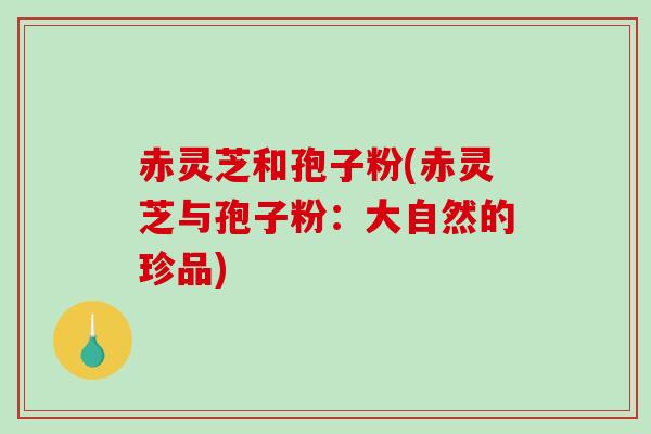 赤灵芝和孢子粉(赤灵芝与孢子粉:大自然的珍品)-第1张图片-破壁灵芝孢子粉研究指南 赤灵芝和孢子粉(赤灵芝与孢子粉:大自然的珍品)-第1张图片-破壁灵芝孢子粉研究指南