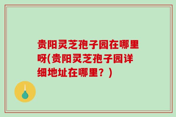 贵阳灵芝孢子园在哪里呀(贵阳灵芝孢子园详细地址在哪里？)-第1张图片-破壁灵芝孢子粉研究指南