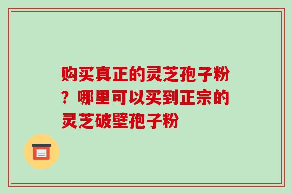 购买真正的灵芝孢子粉?哪里可以买到正宗的灵芝破壁孢子粉-第1张图片-破壁灵芝孢子粉研究指南 购买真正的灵芝孢子粉?哪里可以买到正宗的灵芝破壁孢子粉-第1张图片-破壁灵芝孢子粉研究指南