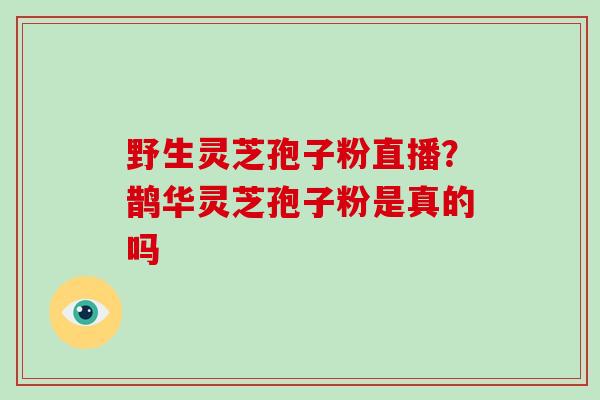野生灵芝孢子粉直播?鹊华灵芝孢子粉是真的吗-第1张图片-破壁灵芝孢子粉研究指南 野生灵芝孢子粉直播?鹊华灵芝孢子粉是真的吗-第1张图片-破壁灵芝孢子粉研究指南