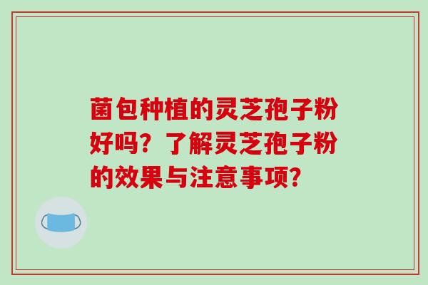 菌包种植的灵芝孢子粉好吗?了解灵芝孢子粉的效果与注意事项?-第1张图片-破壁灵芝孢子粉研究指南 菌包种植的灵芝孢子粉好吗?了解灵芝孢子粉的效果与注意事项?-第1张图片-破壁灵芝孢子粉研究指南