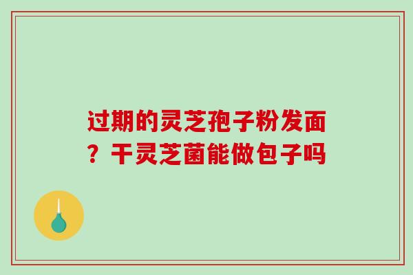 过期的灵芝孢子粉发面?干灵芝菌能做包子吗-第1张图片-破壁灵芝孢子粉研究指南 过期的灵芝孢子粉发面?干灵芝菌能做包子吗-第1张图片-破壁灵芝孢子粉研究指南