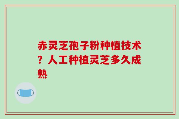 赤灵芝孢子粉种植技术?人工种植灵芝多久成熟-第1张图片-破壁灵芝孢子粉研究指南 赤灵芝孢子粉种植技术?人工种植灵芝多久成熟-第1张图片-破壁灵芝孢子粉研究指南