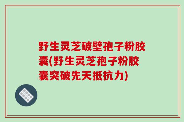 野生灵芝破壁孢子粉胶囊(野生灵芝孢子粉胶囊突破先天抵抗力)-第1张图片-破壁灵芝孢子粉研究指南 野生灵芝破壁孢子粉胶囊(野生灵芝孢子粉胶囊突破先天抵抗力)-第1张图片-破壁灵芝孢子粉研究指南
