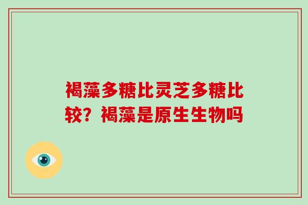褐藻多糖比灵芝多糖比较?褐藻是原生生物吗-第1张图片-破壁灵芝孢子粉研究指南 褐藻多糖比灵芝多糖比较?褐藻是原生生物吗-第1张图片-破壁灵芝孢子粉研究指南