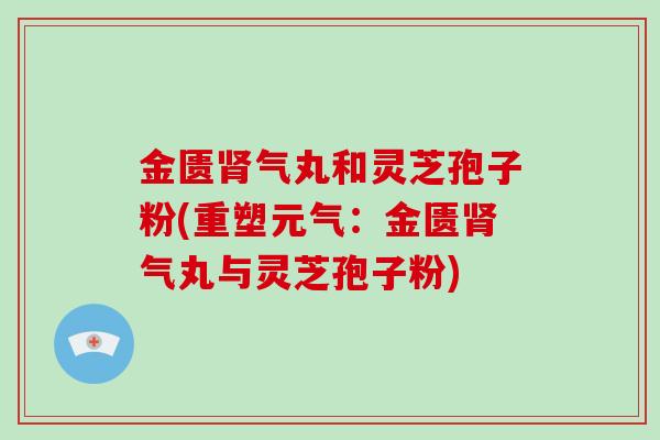 金匮肾气丸和灵芝孢子粉(重塑元气：金匮肾气丸与灵芝孢子粉)-第1张图片-破壁灵芝孢子粉研究指南