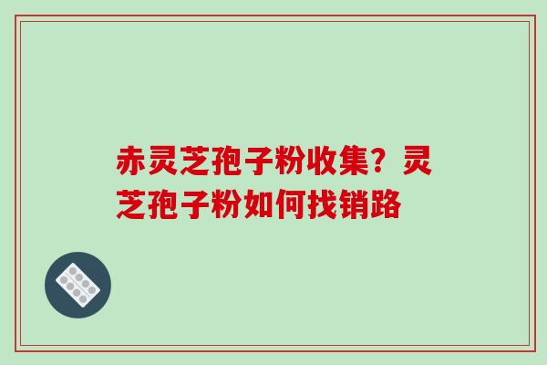 赤灵芝孢子粉收集?灵芝孢子粉如何找销路-第1张图片-破壁灵芝孢子粉研究指南 赤灵芝孢子粉收集?灵芝孢子粉如何找销路-第1张图片-破壁灵芝孢子粉研究指南