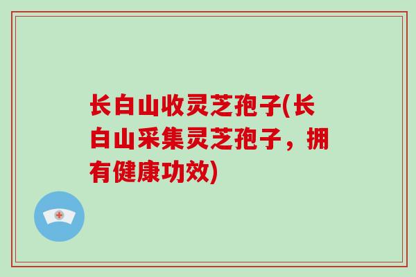 长白山收灵芝孢子(长白山采集灵芝孢子,拥有健康功效)-第1张图片-破壁灵芝孢子粉研究指南 长白山收灵芝孢子(长白山采集灵芝孢子,拥有健康功效)-第1张图片-破壁灵芝孢子粉研究指南