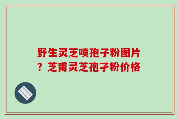 野生灵芝喷孢子粉图片?芝甫灵芝孢孑粉价格-第1张图片-破壁灵芝孢子粉研究指南 野生灵芝喷孢子粉图片?芝甫灵芝孢孑粉价格-第1张图片-破壁灵芝孢子粉研究指南