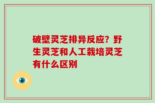 破壁灵芝排异反应？野生灵芝和人工栽培灵芝有什么区别-第1张图片-破壁灵芝孢子粉研究指南