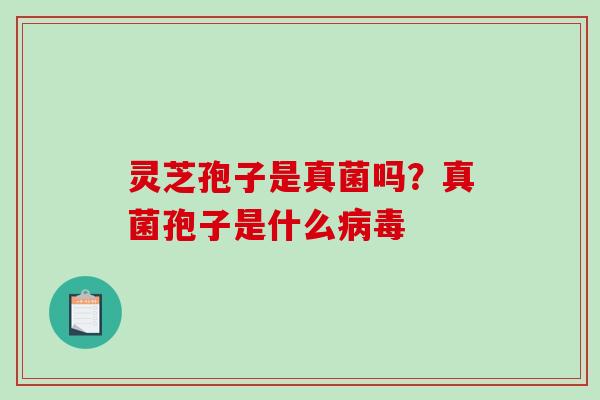灵芝孢子是真菌吗?真菌孢子是什么病毒-第1张图片-破壁灵芝孢子粉研究指南 灵芝孢子是真菌吗?真菌孢子是什么病毒-第1张图片-破壁灵芝孢子粉研究指南