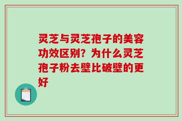 灵芝与灵芝孢子的美容功效区别?为什么灵芝孢子粉去壁比破壁的更好-第1张图片-破壁灵芝孢子粉研究指南 灵芝与灵芝孢子的美容功效区别?为什么灵芝孢子粉去壁比破壁的更好-第1张图片-破壁灵芝孢子粉研究指南