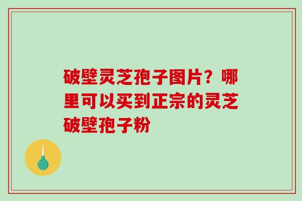 破壁灵芝孢子图片？哪里可以买到正宗的灵芝破壁孢子粉-第1张图片-破壁灵芝孢子粉研究指南
