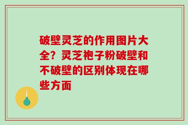 破壁灵芝的作用图片大全?灵芝袍子粉破壁和不破壁的区别体现在哪些方面-第1张图片-破壁灵芝孢子粉研究指南 破壁灵芝的作用图片大全?灵芝袍子粉破壁和不破壁的区别体现在哪些方面-第1张图片-破壁灵芝孢子粉研究指南