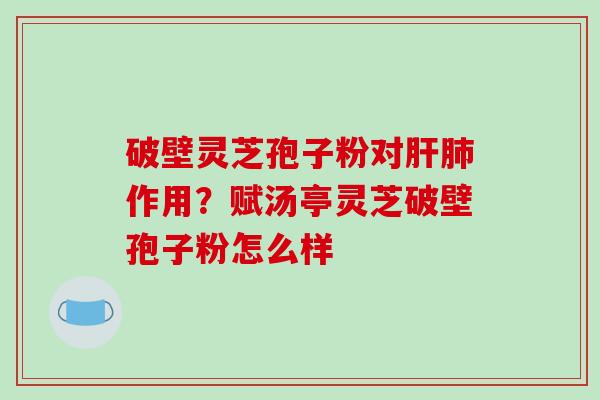 破壁灵芝孢子粉对肝肺作用？赋汤亭灵芝破壁孢子粉怎么样-第1张图片-破壁灵芝孢子粉研究指南