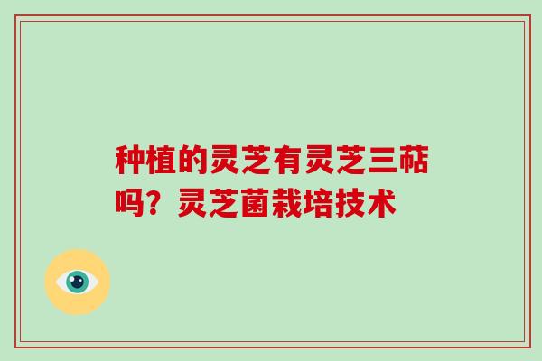 种植的灵芝有灵芝三萜吗?灵芝菌栽培技术-第1张图片-破壁灵芝孢子粉研究指南 种植的灵芝有灵芝三萜吗?灵芝菌栽培技术-第1张图片-破壁灵芝孢子粉研究指南