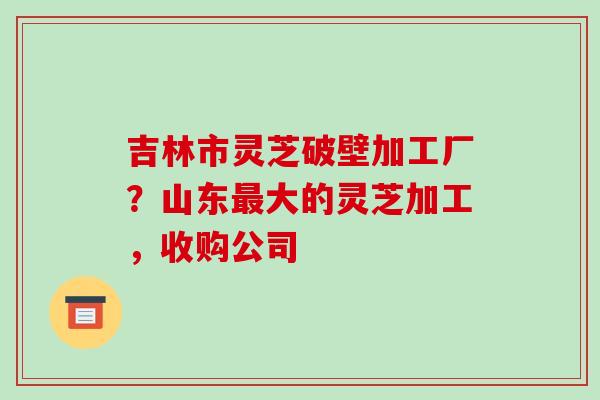 吉林市灵芝破壁加工厂?山东最大的灵芝加工,收购公司-第1张图片-破壁灵芝孢子粉研究指南 吉林市灵芝破壁加工厂?山东最大的灵芝加工,收购公司-第1张图片-破壁灵芝孢子粉研究指南