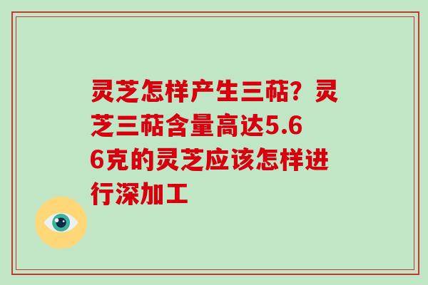 灵芝怎样产生三萜?灵芝三萜含量高达5.66克的灵芝应该怎样进行深加工-第1张图片-破壁灵芝孢子粉研究指南 灵芝怎样产生三萜?灵芝三萜含量高达5.66克的灵芝应该怎样进行深加工-第1张图片-破壁灵芝孢子粉研究指南