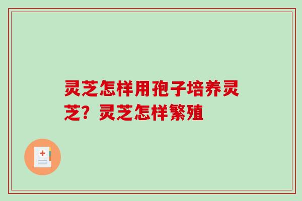 灵芝怎样用孢子培养灵芝?灵芝怎样繁殖-第1张图片-破壁灵芝孢子粉研究指南 灵芝怎样用孢子培养灵芝?灵芝怎样繁殖-第1张图片-破壁灵芝孢子粉研究指南