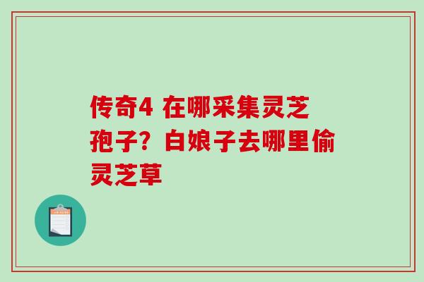 传奇4 在哪采集灵芝孢子?白娘子去哪里偷灵芝草-第1张图片-破壁灵芝孢子粉研究指南 传奇4 在哪采集灵芝孢子?白娘子去哪里偷灵芝草-第1张图片-破壁灵芝孢子粉研究指南