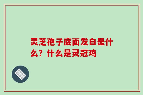 灵芝孢子底面发白是什么?什么是灵冠鸡-第1张图片-破壁灵芝孢子粉研究指南 灵芝孢子底面发白是什么?什么是灵冠鸡-第1张图片-破壁灵芝孢子粉研究指南
