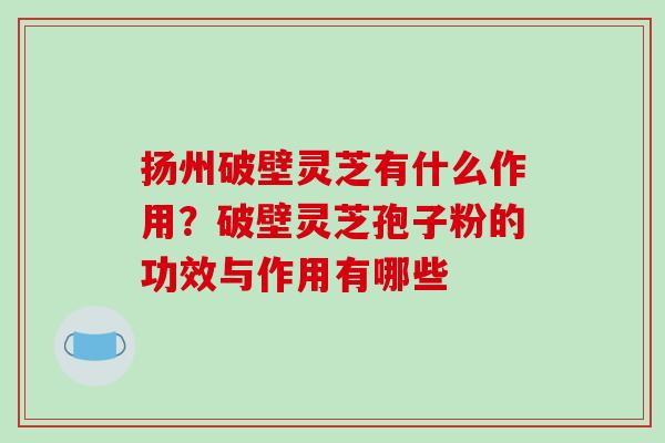 扬州破壁灵芝有什么作用?破壁灵芝孢子粉的功效与作用有哪些-第1张图片-破壁灵芝孢子粉研究指南 扬州破壁灵芝有什么作用?破壁灵芝孢子粉的功效与作用有哪些-第1张图片-破壁灵芝孢子粉研究指南