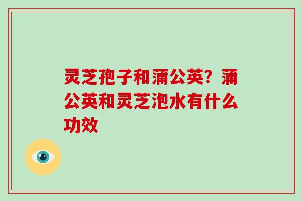 灵芝孢子和蒲公英？蒲公英和灵芝泡水有什么功效-第1张图片-破壁灵芝孢子粉研究指南