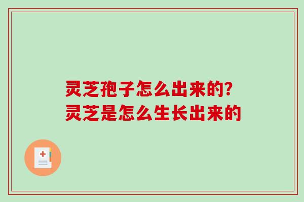 灵芝孢子怎么出来的?灵芝是怎么生长出来的-第1张图片-破壁灵芝孢子粉研究指南 灵芝孢子怎么出来的?灵芝是怎么生长出来的-第1张图片-破壁灵芝孢子粉研究指南