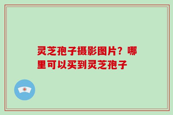 灵芝孢子摄影图片?哪里可以买到灵芝孢子-第1张图片-破壁灵芝孢子粉研究指南 灵芝孢子摄影图片?哪里可以买到灵芝孢子-第1张图片-破壁灵芝孢子粉研究指南