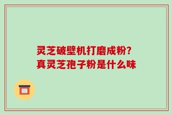 灵芝破壁机打磨成粉?真灵芝孢子粉是什么味-第1张图片-破壁灵芝孢子粉研究指南 灵芝破壁机打磨成粉?真灵芝孢子粉是什么味-第1张图片-破壁灵芝孢子粉研究指南