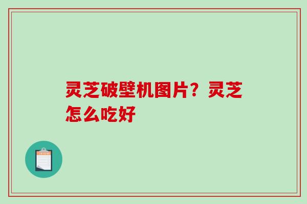 灵芝破壁机图片?灵芝怎么吃好-第1张图片-破壁灵芝孢子粉研究指南 灵芝破壁机图片?灵芝怎么吃好-第1张图片-破壁灵芝孢子粉研究指南