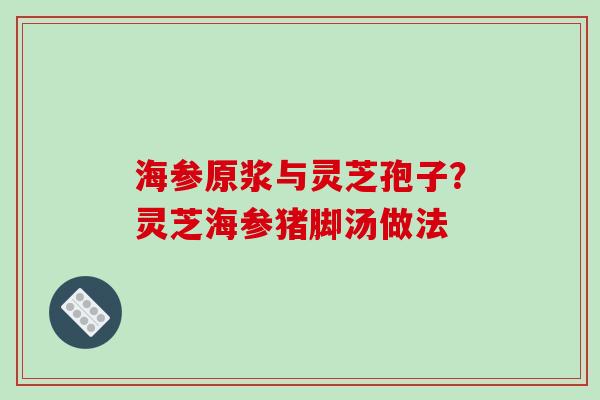 海参原浆与灵芝孢子?灵芝海参猪脚汤做法-第1张图片-破壁灵芝孢子粉研究指南 海参原浆与灵芝孢子?灵芝海参猪脚汤做法-第1张图片-破壁灵芝孢子粉研究指南