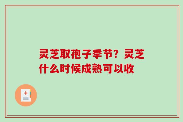 灵芝取孢子季节?灵芝什么时候成熟可以收-第1张图片-破壁灵芝孢子粉研究指南 灵芝取孢子季节?灵芝什么时候成熟可以收-第1张图片-破壁灵芝孢子粉研究指南