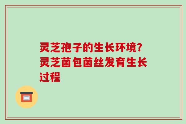 灵芝孢子的生长环境?灵芝菌包菌丝发育生长过程-第1张图片-破壁灵芝孢子粉研究指南 灵芝孢子的生长环境?灵芝菌包菌丝发育生长过程-第1张图片-破壁灵芝孢子粉研究指南