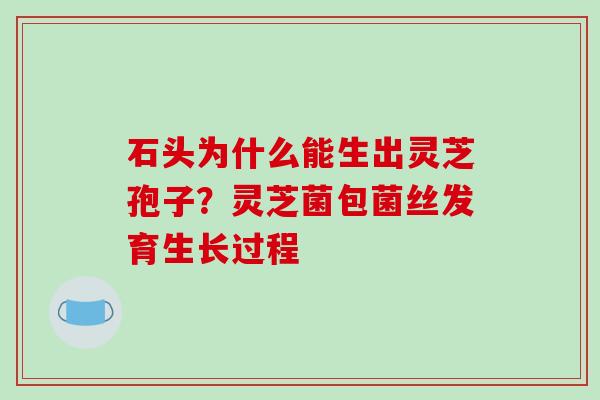 石头为什么能生出灵芝孢子?灵芝菌包菌丝发育生长过程-第1张图片-破壁灵芝孢子粉研究指南 石头为什么能生出灵芝孢子?灵芝菌包菌丝发育生长过程-第1张图片-破壁灵芝孢子粉研究指南