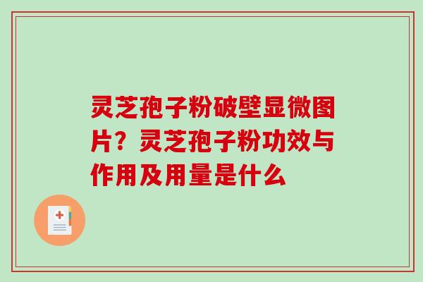 灵芝孢子粉破壁显微图片?灵芝孢子粉功效与作用及用量是什么-第1张图片-破壁灵芝孢子粉研究指南 灵芝孢子粉破壁显微图片?灵芝孢子粉功效与作用及用量是什么-第1张图片-破壁灵芝孢子粉研究指南