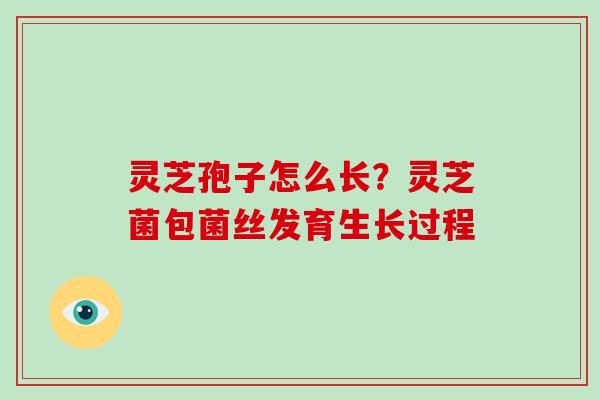 灵芝孢子怎么长?灵芝菌包菌丝发育生长过程-第1张图片-破壁灵芝孢子粉研究指南 灵芝孢子怎么长?灵芝菌包菌丝发育生长过程-第1张图片-破壁灵芝孢子粉研究指南