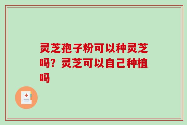 灵芝孢子粉可以种灵芝吗?灵芝可以自己种植吗-第1张图片-破壁灵芝孢子粉研究指南 灵芝孢子粉可以种灵芝吗?灵芝可以自己种植吗-第1张图片-破壁灵芝孢子粉研究指南