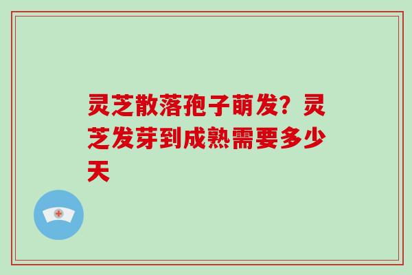 灵芝散落孢子萌发？灵芝发芽到成熟需要多少天-第1张图片-破壁灵芝孢子粉研究指南
