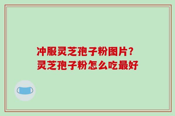 冲服灵芝孢子粉图片?灵芝孢子粉怎么吃最好-第1张图片-破壁灵芝孢子粉研究指南 冲服灵芝孢子粉图片?灵芝孢子粉怎么吃最好-第1张图片-破壁灵芝孢子粉研究指南