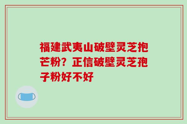 福建武夷山破壁灵芝抱芒粉？正信破壁灵芝孢子粉好不好-第1张图片-破壁灵芝孢子粉研究指南