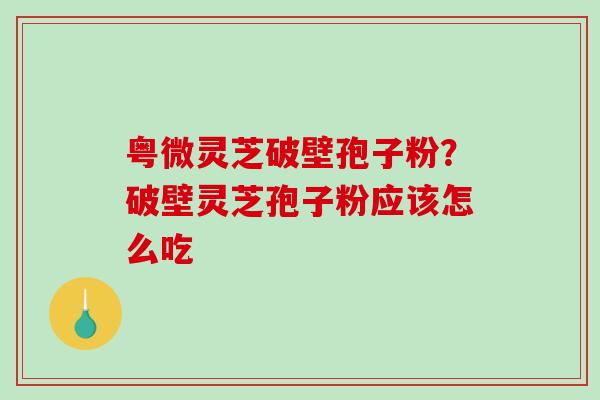 粤微灵芝破壁孢子粉？破壁灵芝孢子粉应该怎么吃-第1张图片-破壁灵芝孢子粉研究指南