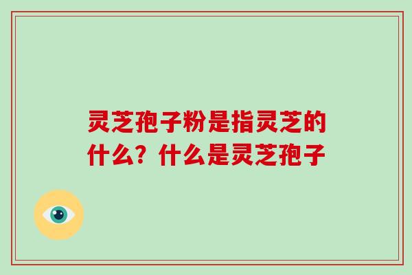 灵芝孢子粉是指灵芝的什么?什么是灵芝孢子-第1张图片-破壁灵芝孢子粉研究指南 灵芝孢子粉是指灵芝的什么?什么是灵芝孢子-第1张图片-破壁灵芝孢子粉研究指南