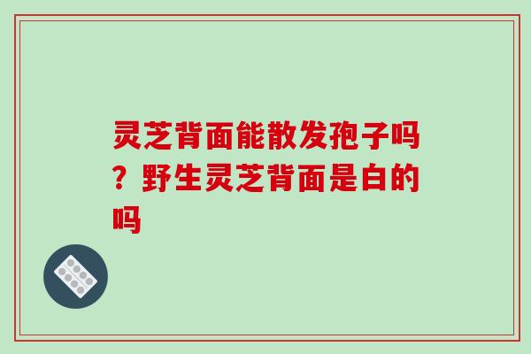 灵芝背面能散发孢子吗?野生灵芝背面是白的吗-第1张图片-破壁灵芝孢子粉研究指南 灵芝背面能散发孢子吗?野生灵芝背面是白的吗-第1张图片-破壁灵芝孢子粉研究指南