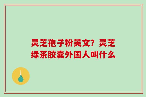 灵芝孢子粉英文?灵芝绿茶胶囊外国人叫什么-第1张图片-破壁灵芝孢子粉研究指南 灵芝孢子粉英文?灵芝绿茶胶囊外国人叫什么-第1张图片-破壁灵芝孢子粉研究指南